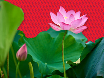 The bullish case for Emerging Markets after a decade of US exceptionalism