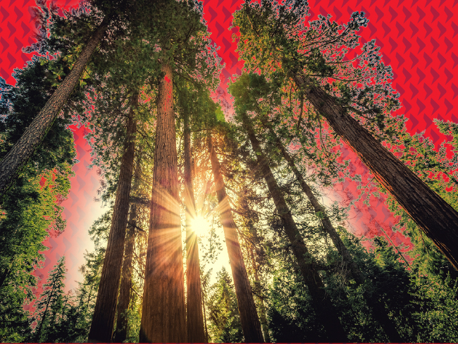 Q4 2025 Outlook: From trade wars to rate cuts and stimulus