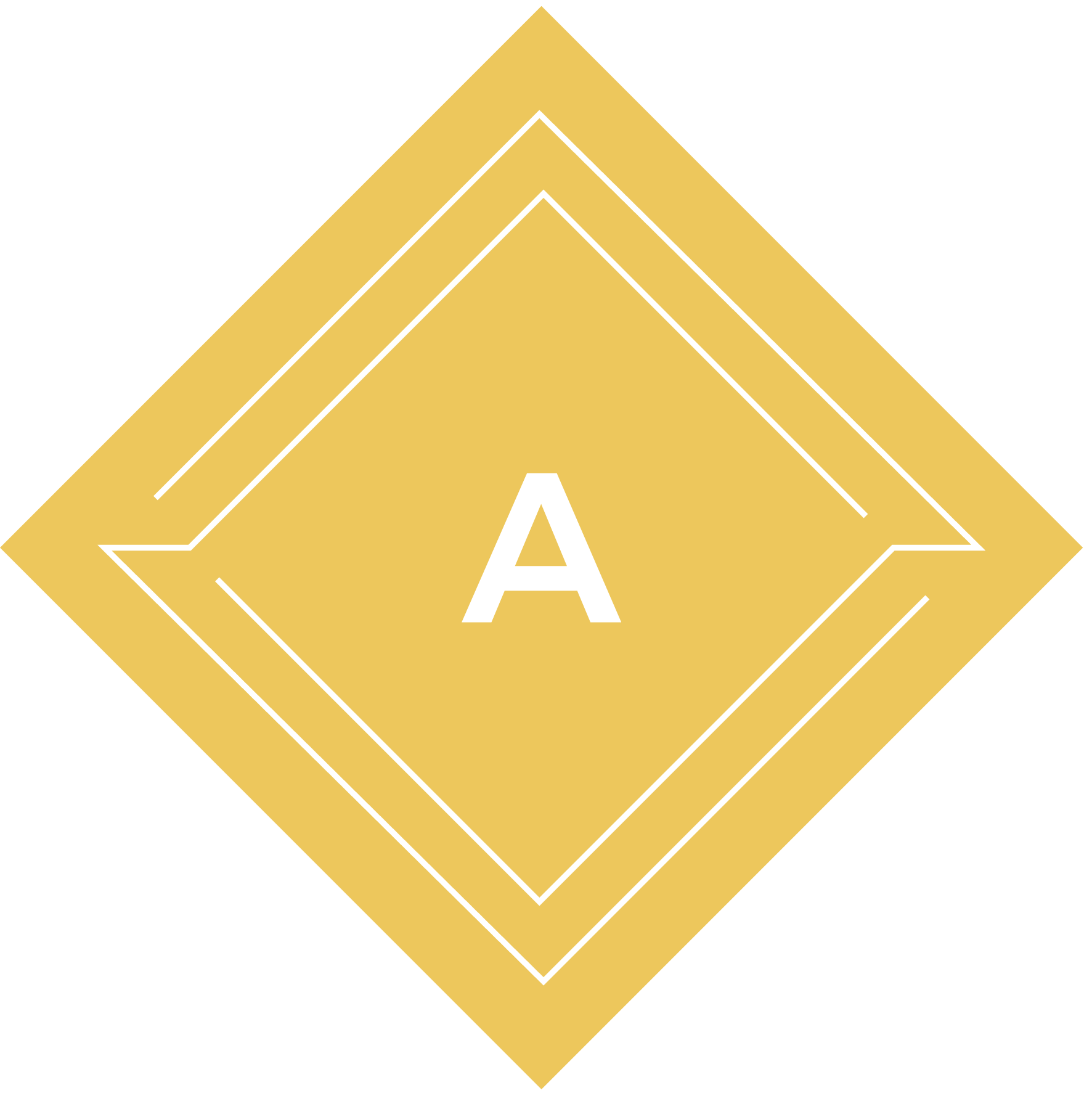 Head of Distribution